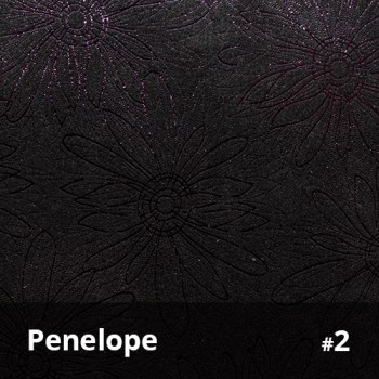 Penelope 2